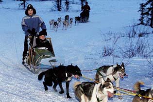Census Bureau Director Robert Groves rides a dogsled in Noorvik, Alaska